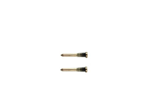 Para iPhone X Conjunto de parafusos de fundo dourado (2pc)