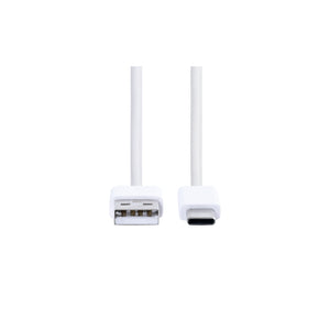 Samsung Galaxy S10 EP-DG970BWE USB-C Data Cable White Bulk