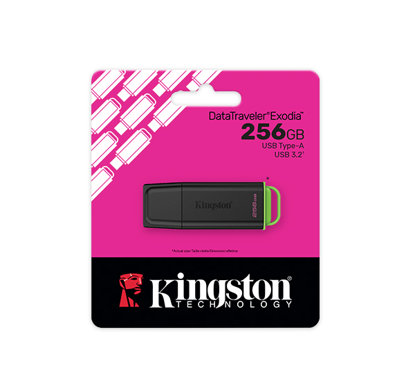 Kingston 256GB DataTraveler Exodia USB3.2 Gen 2 Flash Drive Black And Green